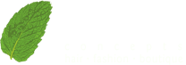 Mint Concepts — Hair, Fashion, Boutique